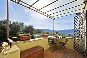 Alloro Grillo in Camaiore