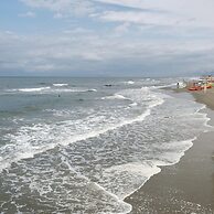 Alloro Grillo in Camaiore