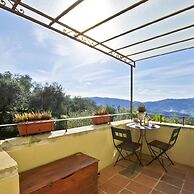 Alloro Grillo in Camaiore