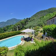 Alloro Grillo in Camaiore