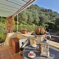 Alloro Grillo in Camaiore