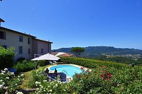 Alloro Grillo in Camaiore