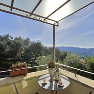 Alloro Grillo in Camaiore