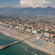 Alloro Grillo in Camaiore