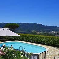 Alloro Grillo in Camaiore