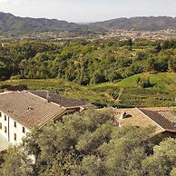 Alloro Grillo in Camaiore