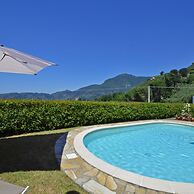 Alloro Grillo in Camaiore