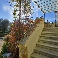 Alloro Grillo in Camaiore