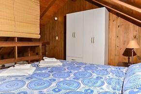 TRONADOR SCHUSS ARG41