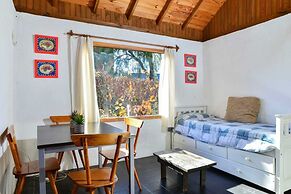 TRONADOR SCHUSS ARG41