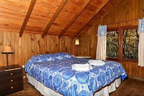 TRONADOR SCHUSS ARG41