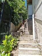 TRONADOR SCHUSS ARG41