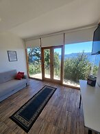 TRONADOR SCHUSS ARG41