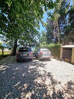 TRONADOR SCHUSS ARG41