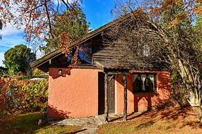 TRONADOR SCHUSS ARG41