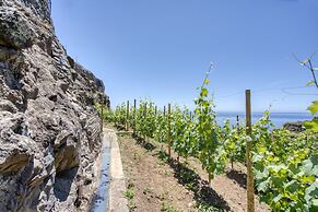 Socalco Nature Calheta