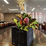 Executive Hotel Samba