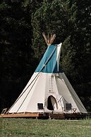 Starlight Retreat Yellowstone