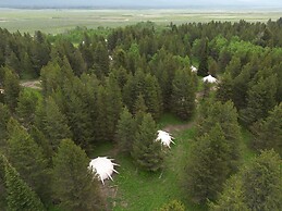 Starlight Retreat Yellowstone