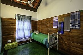 Neemrana's Coconut Alley