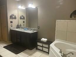 A Bear's Hibernation