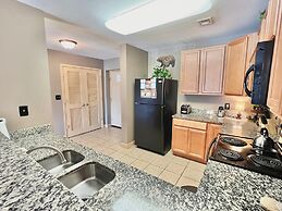 A Bear's Hibernation