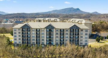 A Bear's Hibernation