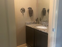 A Bear's Hibernation