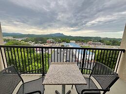 A Bear's Hibernation