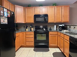 A Bear's Hibernation