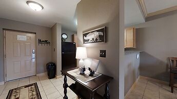 A Bear's Hibernation