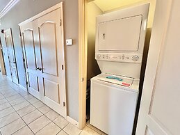 A Bear's Hibernation