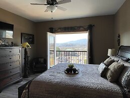 A Bear's Hibernation