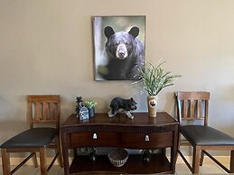 A Bear's Hibernation