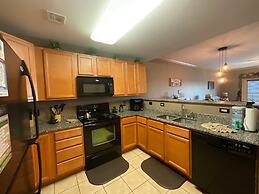 A Bear's Hibernation