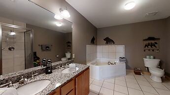 A Bear's Hibernation