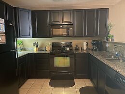 A Bear's Hibernation