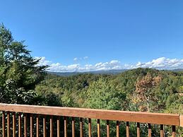 Horsin Around Tennessee