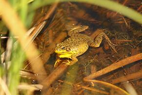 Our Wielgot Tradition 2 Bedroom Cabin by RedAwning