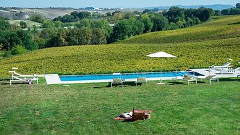 La Casa nei Vigneti 10