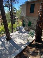 Theplatresnest Lovely 3-bed House in Pano Platres