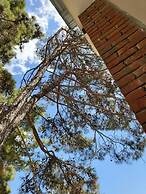 Theplatresnest Lovely 3-bed House in Pano Platres