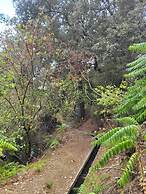 Theplatresnest Lovely 3-bed House in Pano Platres