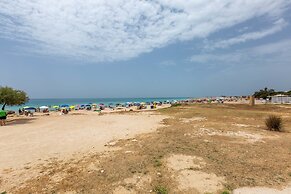 2460 Trilo Damiani by Barbarhouse