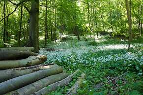 Immaculate 3-bedroom Private Lodge Near York