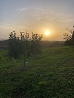Country House Girasole Crete Senesi Vakantie Huis
