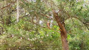 Ranch Home w Games Hot Tub and Beautiful Scenery