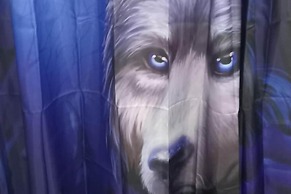 Lovely 2 Bedroom House in St Thomas Jamaica