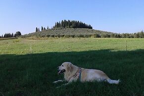 Casa Annick Holiday Home Chianti Area Florence