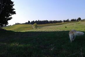 Casa Annick Holiday Home Chianti Area Florence